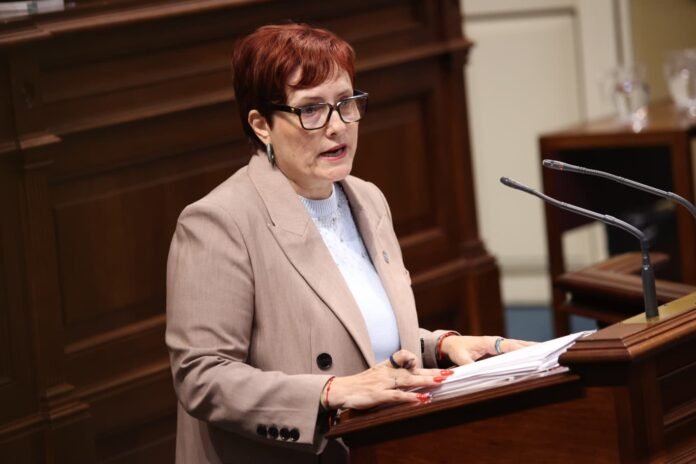 Comparecencia sobre el despliegue de la prestación de asistencia personal en Canarias