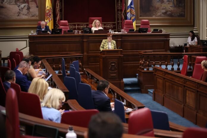Candelaria Delgado durante la convalidación del Decreto-ley para agilizar el sistema público de dependencia