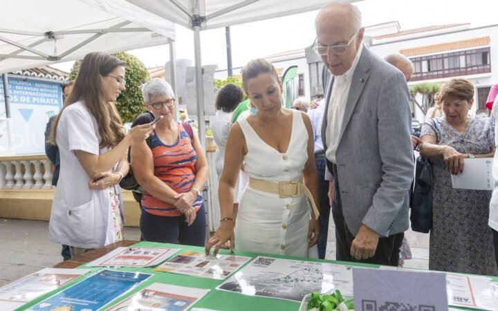 Representantes del Cabildo de Tenerife durante la presentación del marco insular de prevención y promoción de la salud