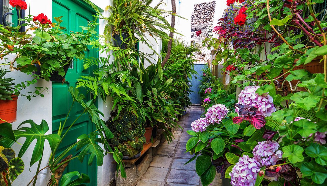 Calle del casco antiguo de Vega de San Mateo con fachadas tradicionales y plantas; imagen municipal de contexto
