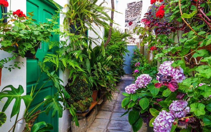 Calle del casco antiguo de Vega de San Mateo con fachadas tradicionales y plantas; imagen municipal de contexto