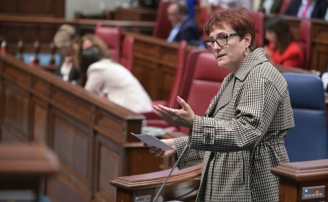 Intervención de la consejera de Bienestar Social en el Parlamento de Canarias