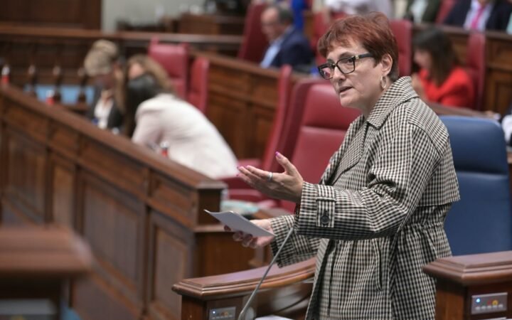 Intervención de la consejera de Bienestar Social en el Parlamento de Canarias
