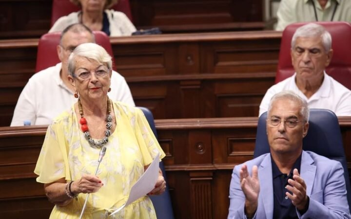 Representantes de los centros de día durante el Pleno de las Personas Mayores de Canarias