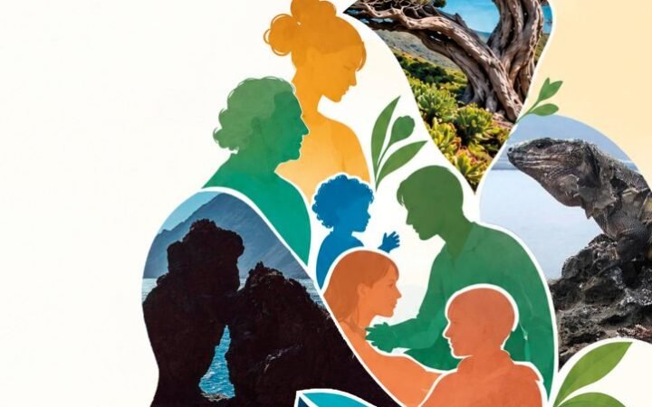 Imagen oficial de la presentación del primer Foro HierroSocial de El Hierro